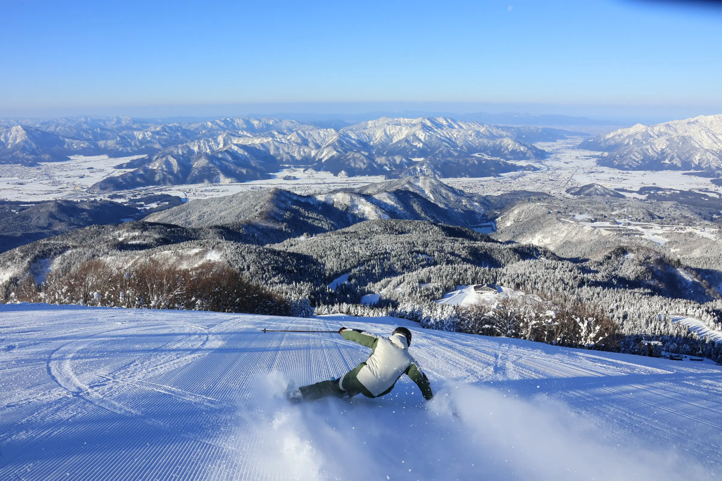 ACTIVITY – WHITE SEASON
