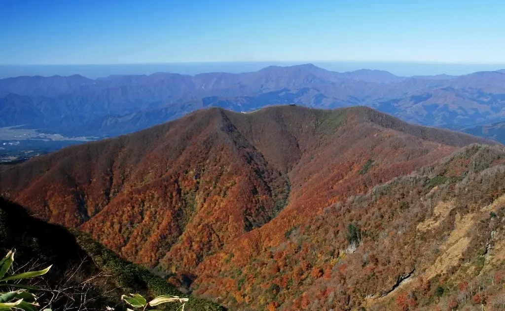 JAMから行けるおすすめ観光スポット8選紹介！