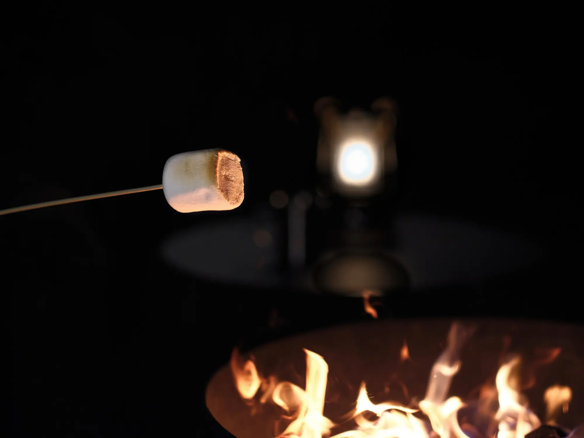 Bonfire ―焚火―