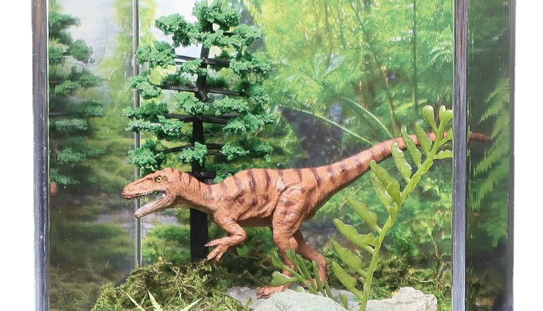 【宿泊者限定イベント】恐竜ジオラマワークショップ