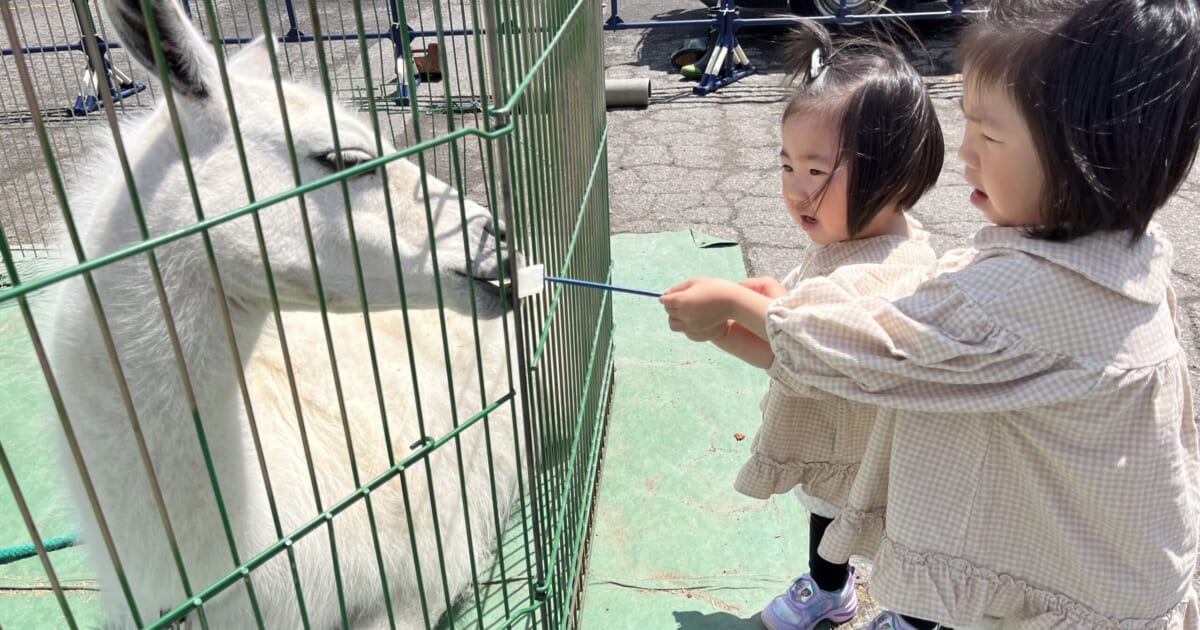 【GW限定イベント】ふれあい動物園開催