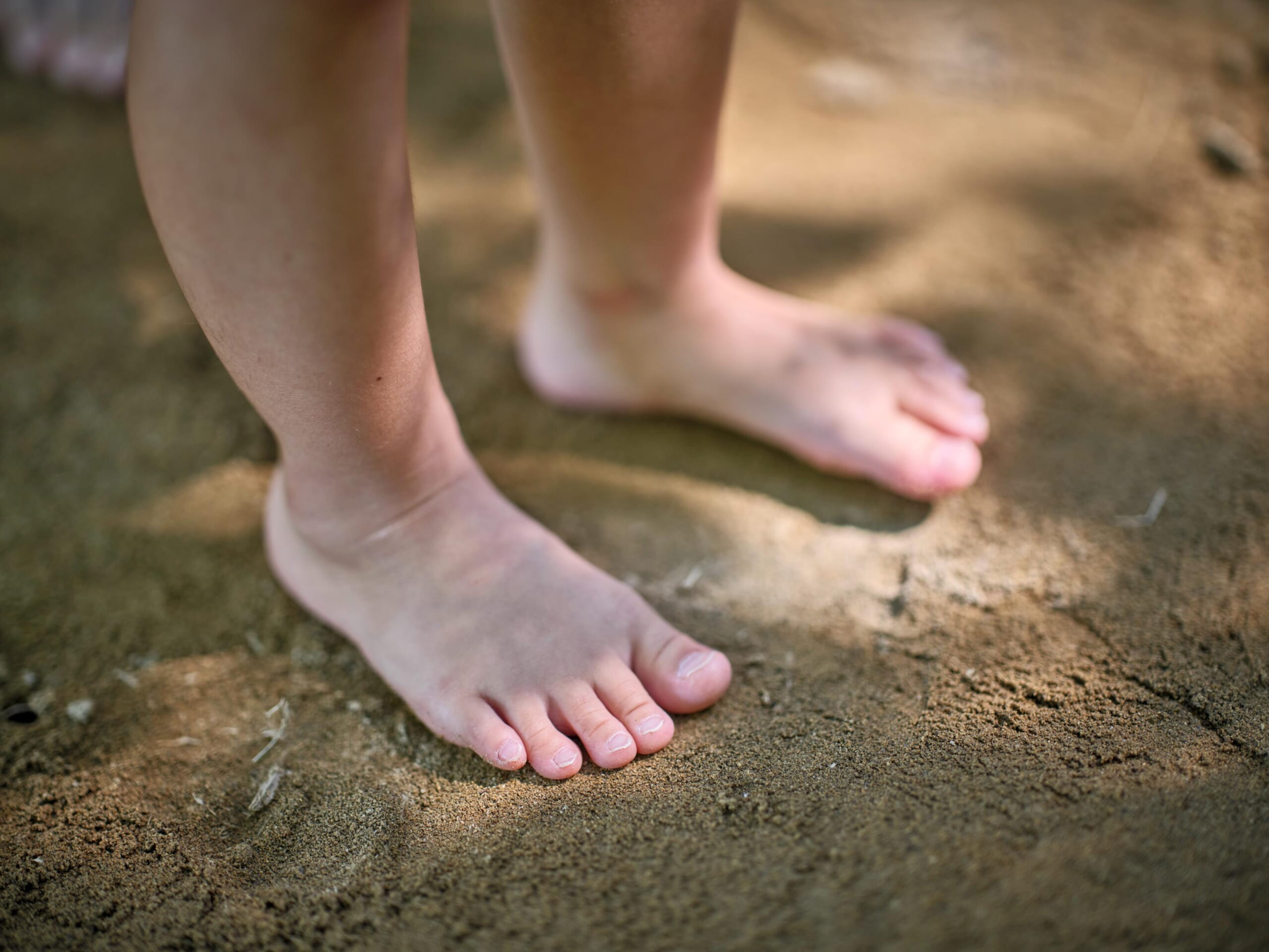 BAREFOOT FOREST ―森のはだし道―