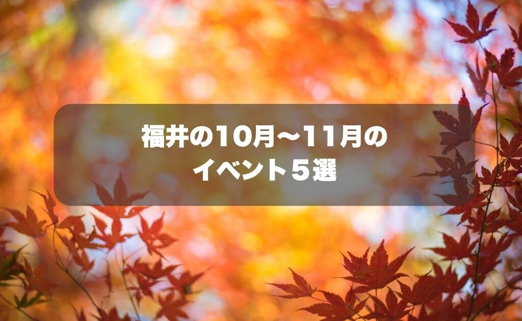 福井の秋を彩るイベント5選｜2026年10月～11月