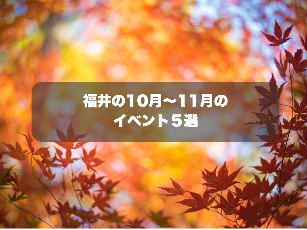 【JOURNAL記事】福井の秋を彩るイベント5選｜2026年10月～11月