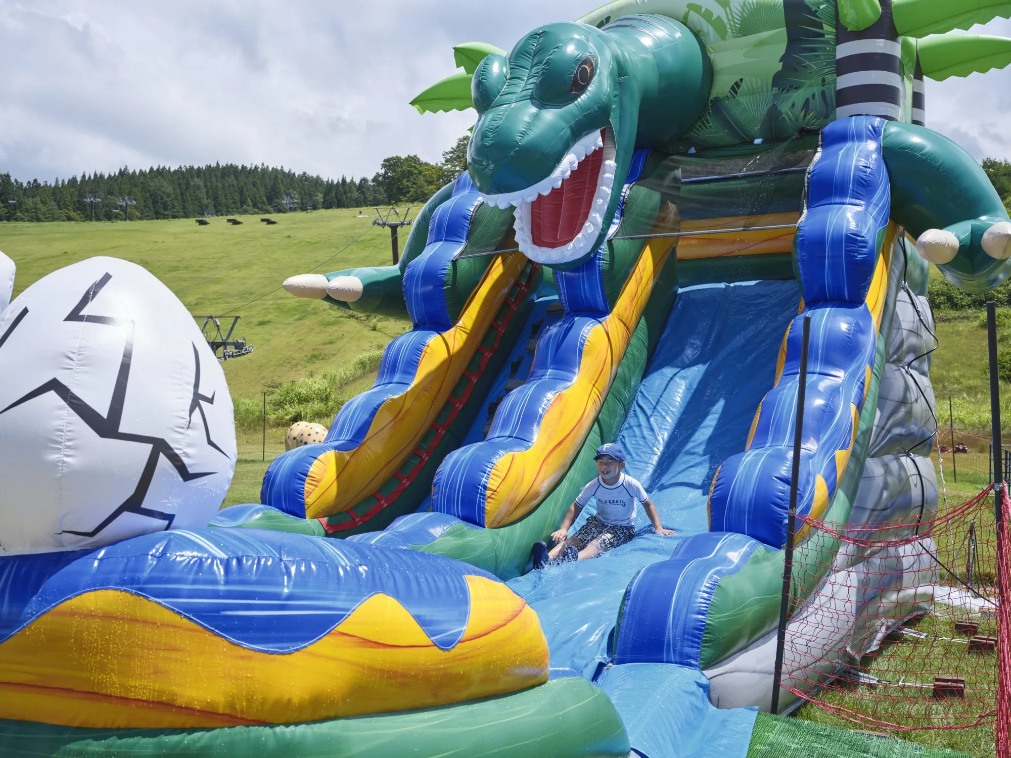 DINO LAND SUMMER