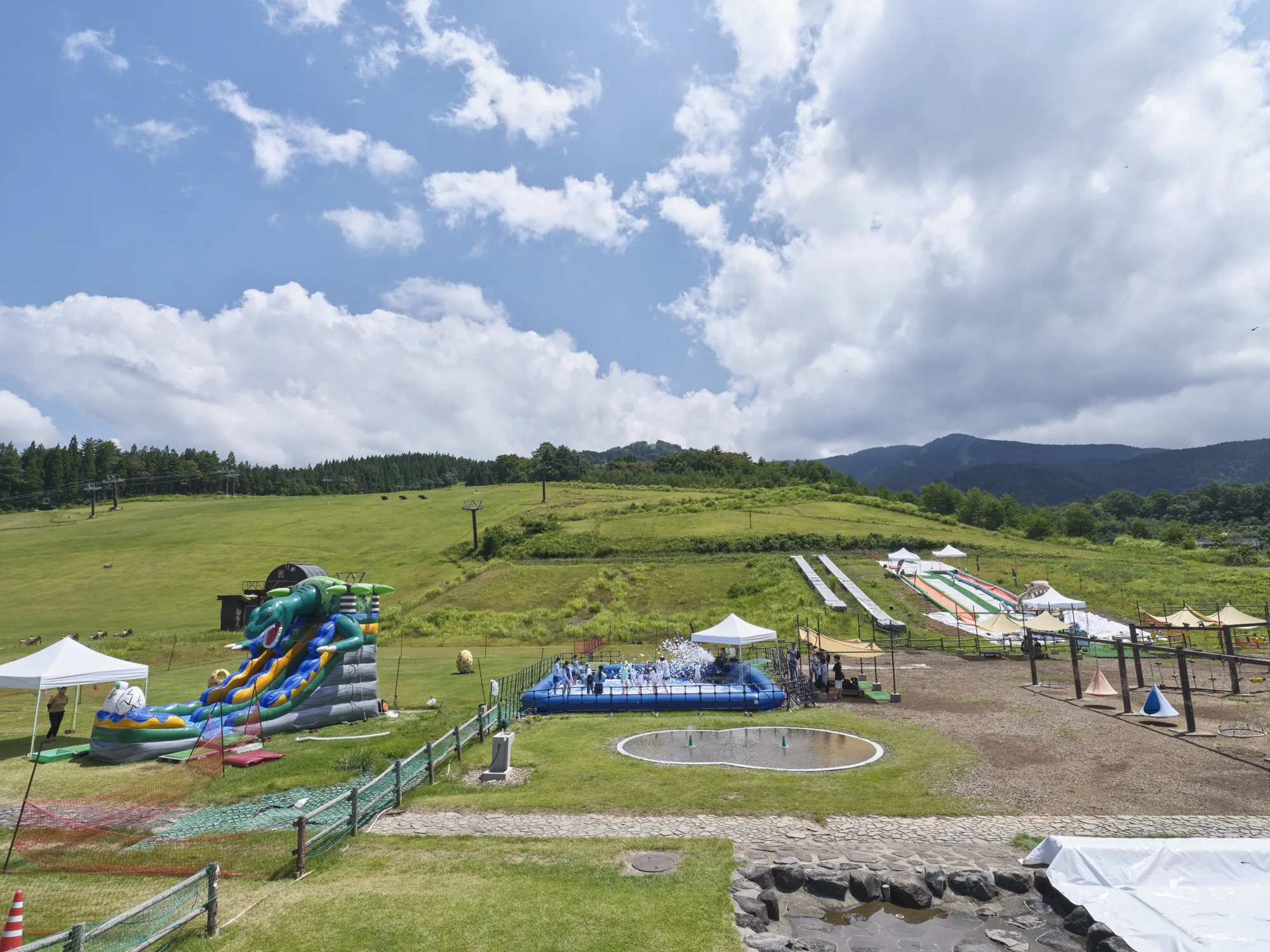 DINO LAND SUMMER