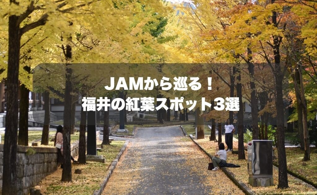 JAMから巡る！福井の紅葉スポット3選｜車で1時間圏内